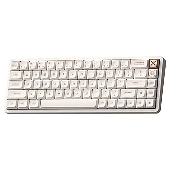 Amazon.com: IQUNIX Magi65 Low Profile Mechanical Keyboard